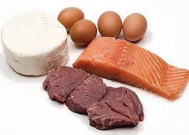 Protein Food