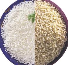 Rice