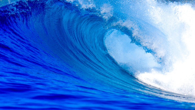 World Record Wave