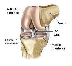 The Knee