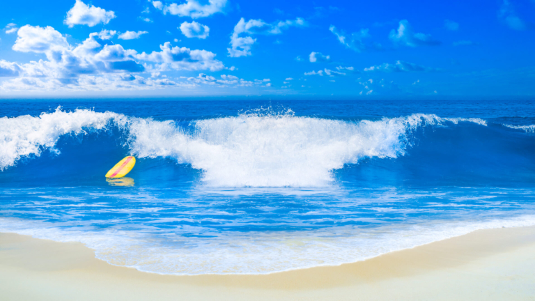 My Interview with Surfer Life