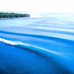 surfstrengthcoach-westswell