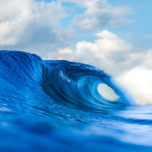 surfstrengthcoach-blog-how-to-surf-a-new-spot